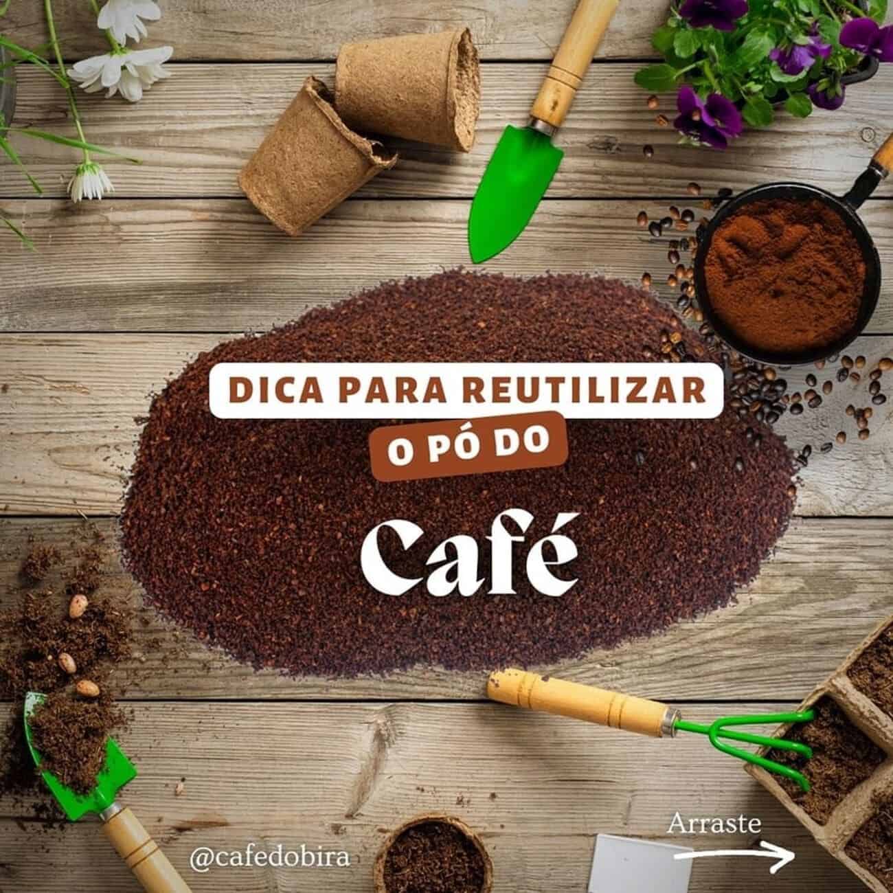 Como usar borra de cafe no cultivo de plantas