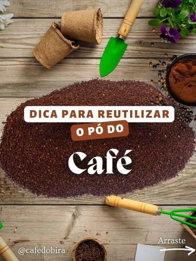 Borra de café