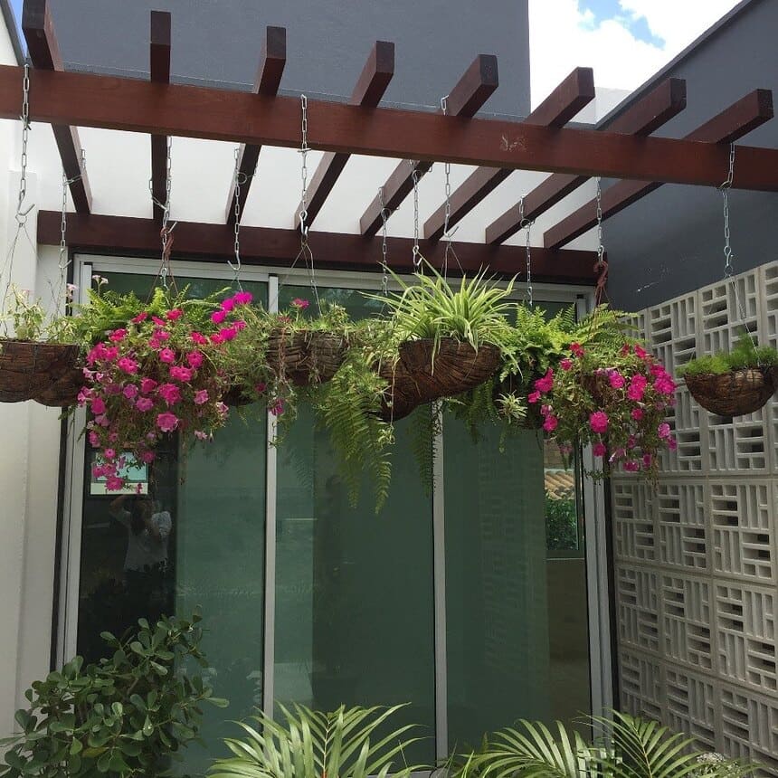 pergolado com plantas