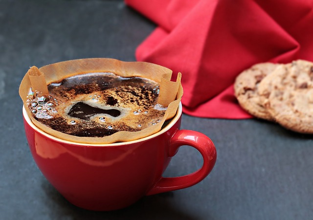 Como usar a borra de café no cultivo de plantas: um guia prático e sustentável.