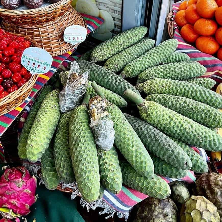 fruta da costela de adao