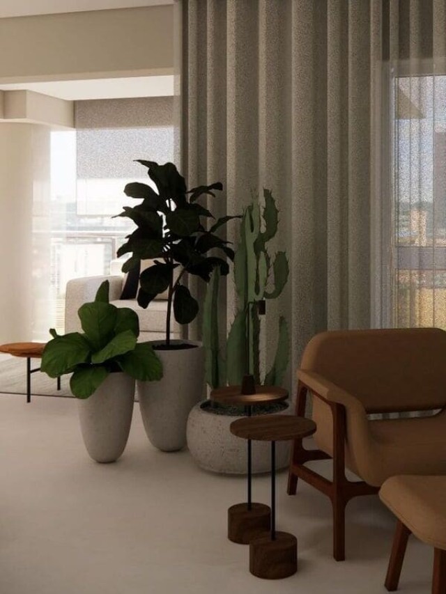 cropped-plantas-grandes-para-sala-1.jpg