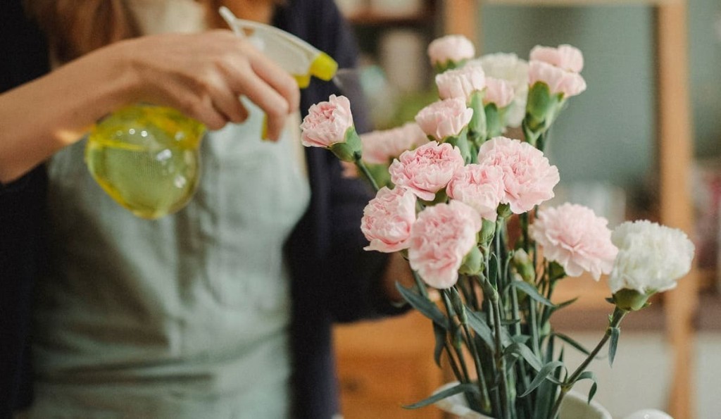 Água Oxigenada para Proteger Suas Plantas 