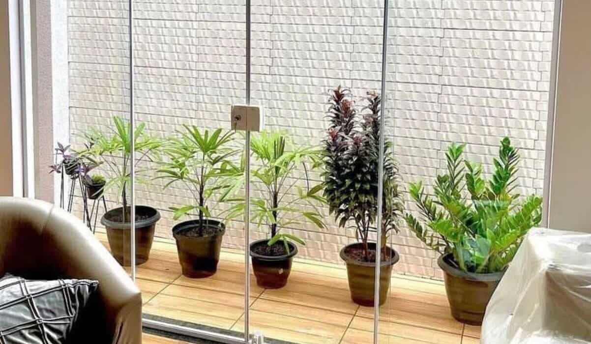 plantas para jardim de inverno