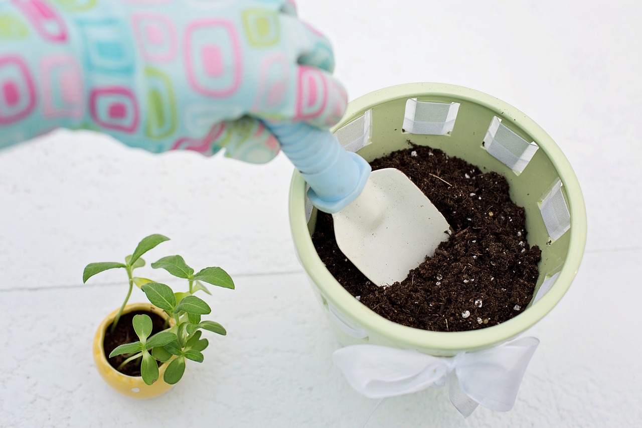 Mais nutrição, menos infestação: o papel da adubação na saúde das plantas