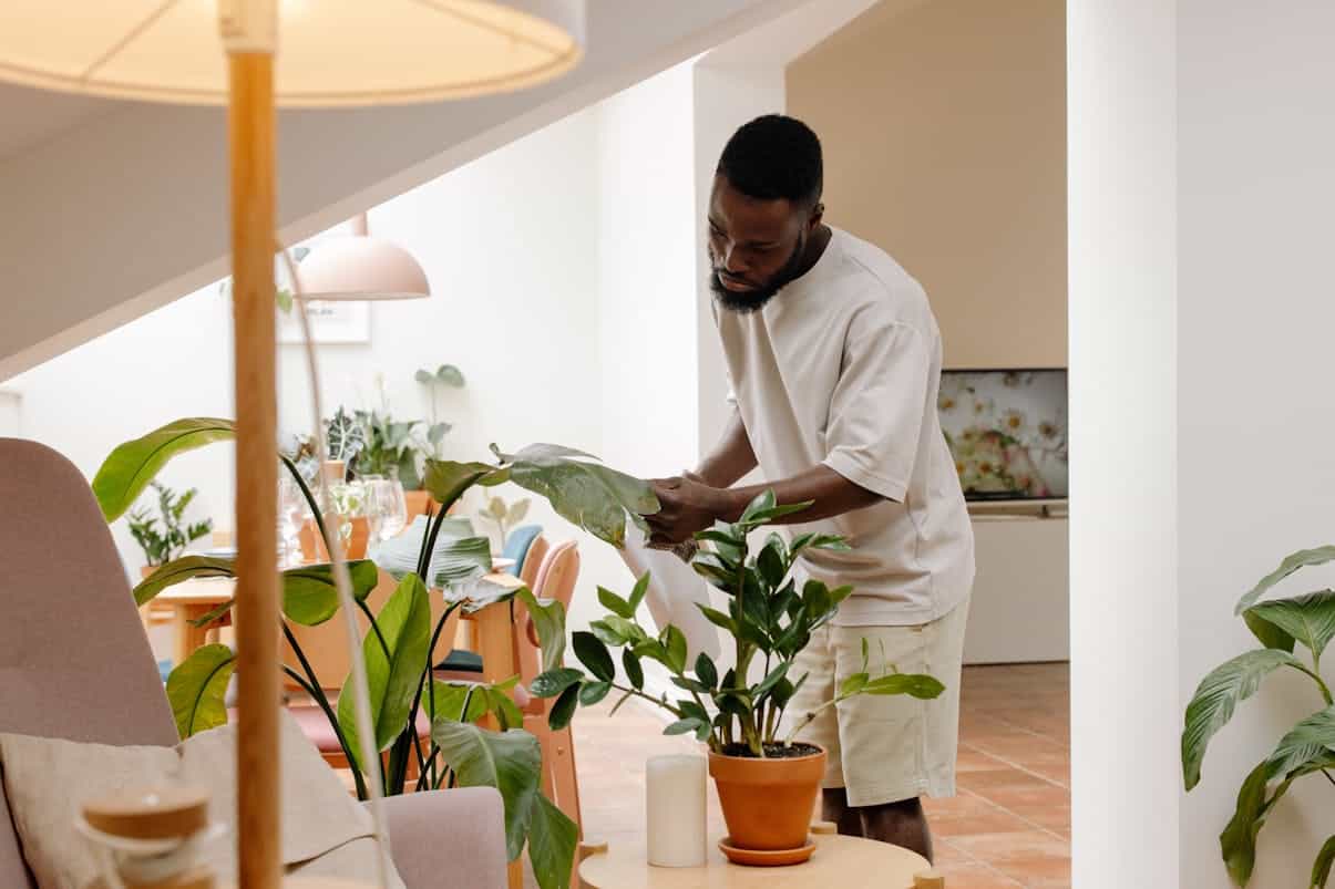 plantas que não morrem facilmente