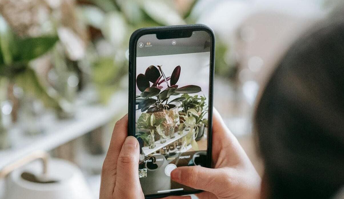 plantas para apartamento