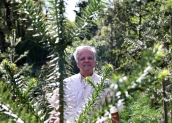 Napoleão Chiamulera, o Engenheiro Verde (Foto: Franklin de Freitas)