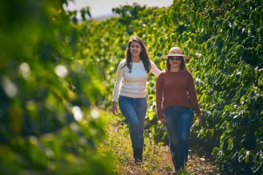 dia internacional da mulher rural vanessa