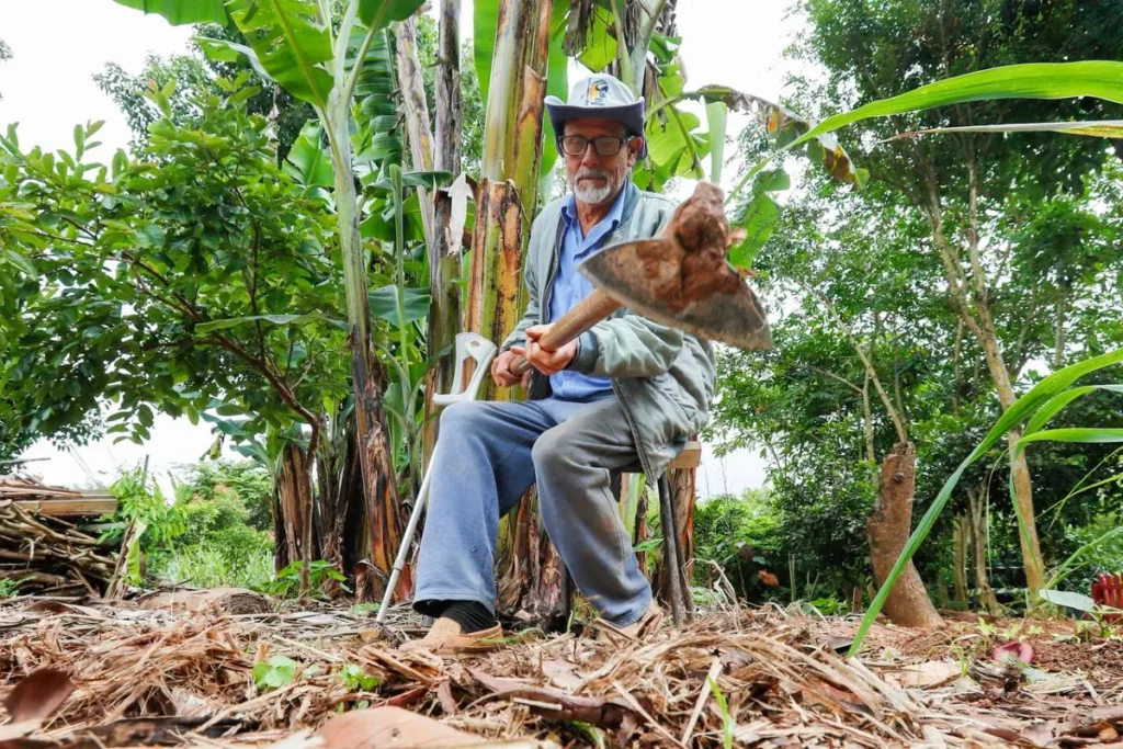 horta em curitiba 2