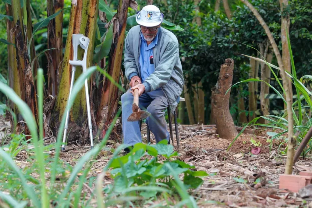 horta em curitiba 6