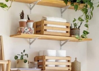 cropped-plantas-banheiro.jpg