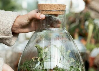 cropped-terrario-fechado-2.jpg
