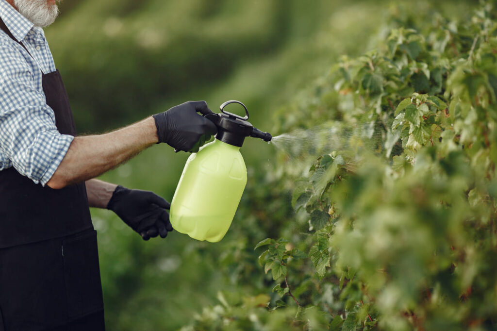 Você sabe o que é calda bordalesa? Descubra como ela pode salvar suas plantas de pragas e doenças
