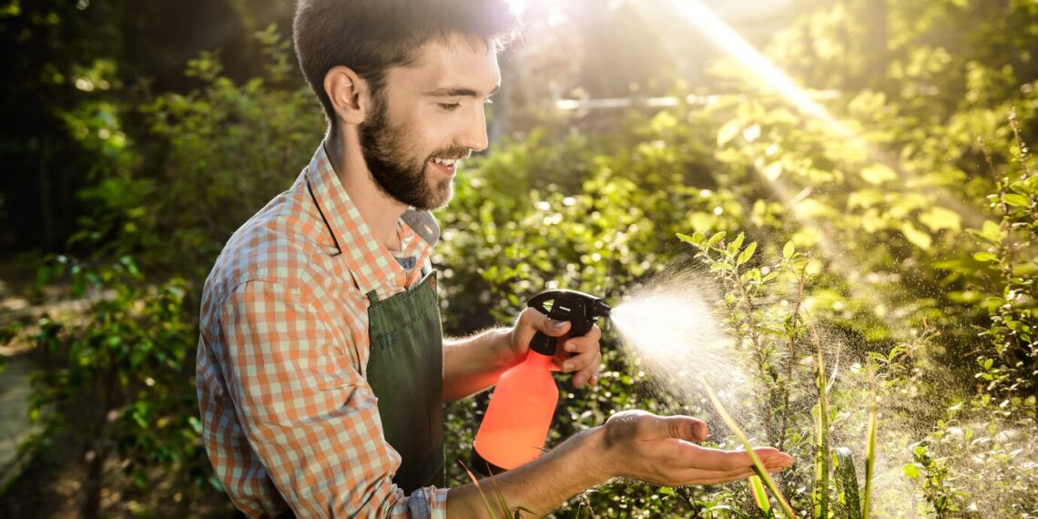 Calda Bordalesa: como preparar o fungicida caseiro que protege a lavoura orgânica com ingredientes que custam menos de R$ 5