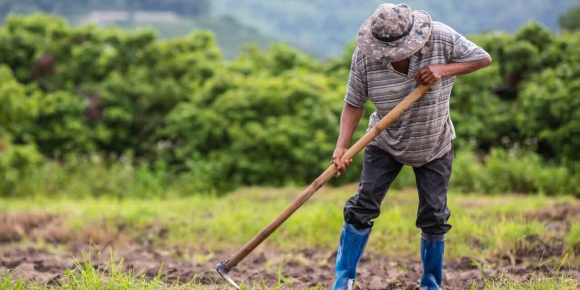 Agricultura Regenerativa impulsiona controle biológico no Cerrado brasileiro