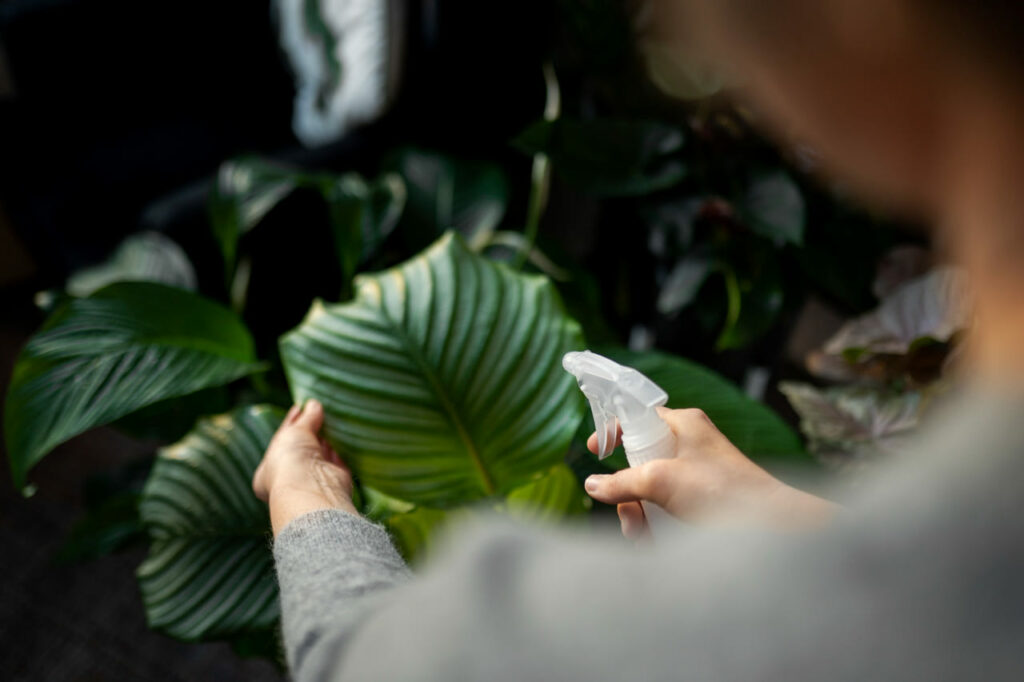 Plantas têm sentidos? Veja como elas reagem à luz, ao som e ao toque