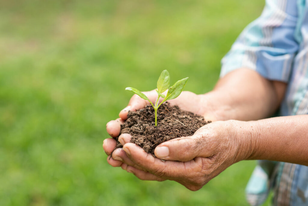 Agroecologia na prática: o encontro entre saberes tradicionais e inovação no campo