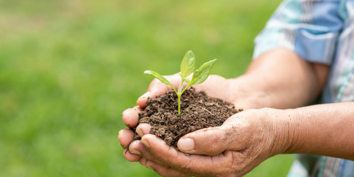 Agro diversifica receitas e redefine estratégias para competir além da porteira