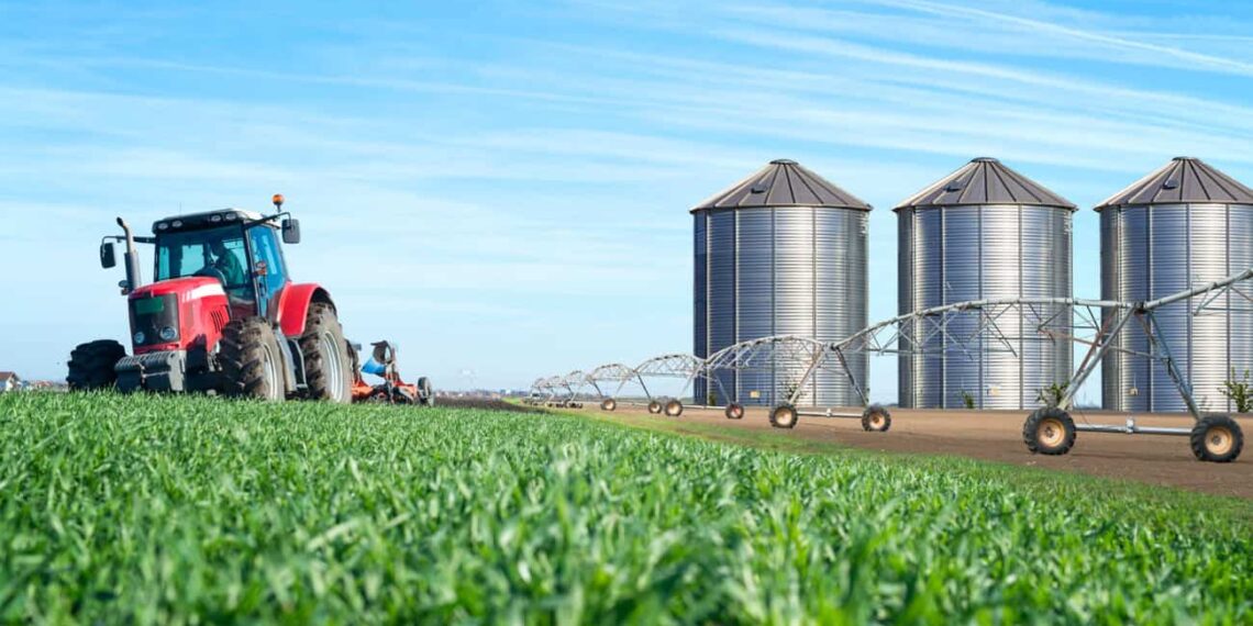 Nova parceria nacional pode elevar em 12% o faturamento de pequenas agroindústrias