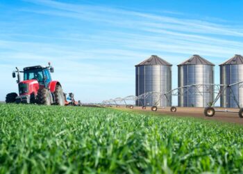 Nova parceria nacional pode elevar em 12% o faturamento de pequenas agroindústrias