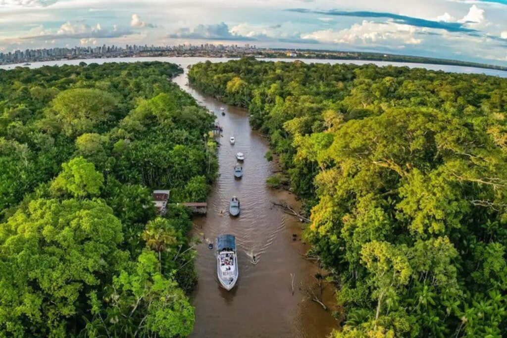 Com menos floresta, Amazônia aquece e perde chuva na estação seca