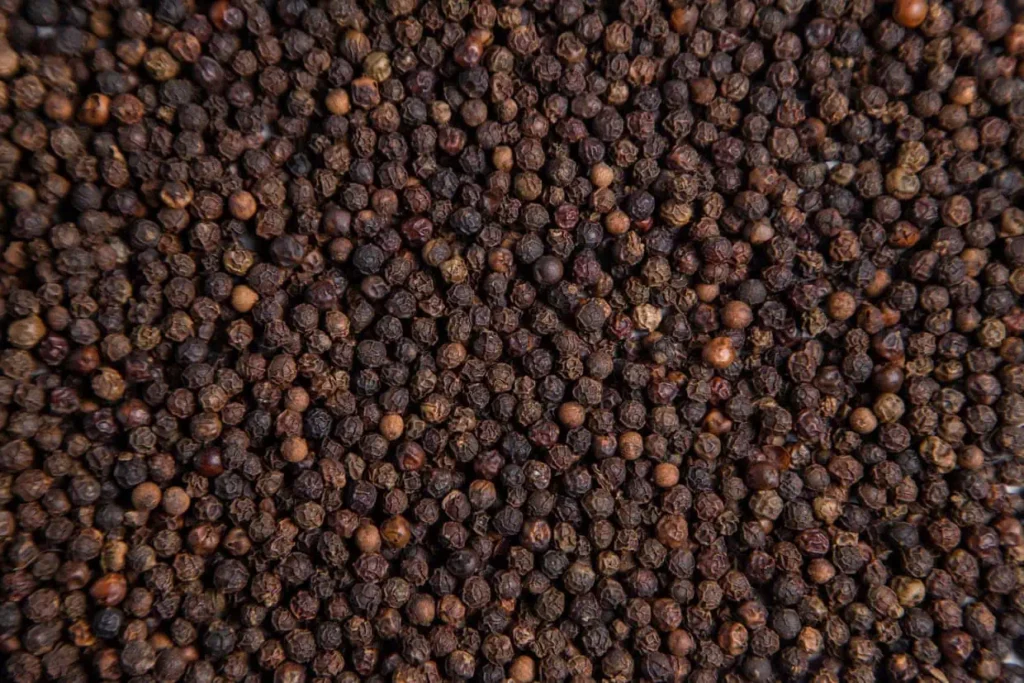 Pimenta-do-reino ganha sistema ecológico que reduz até R$ 60 mil por hectare na implantação