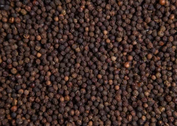 Pimenta-do-reino ganha sistema ecológico que reduz até R$ 60 mil por hectare na implantação