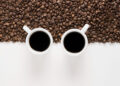 O que as aves sabem sobre café que a ciência demorou para entender