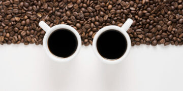 O que as aves sabem sobre café que a ciência demorou para entender
