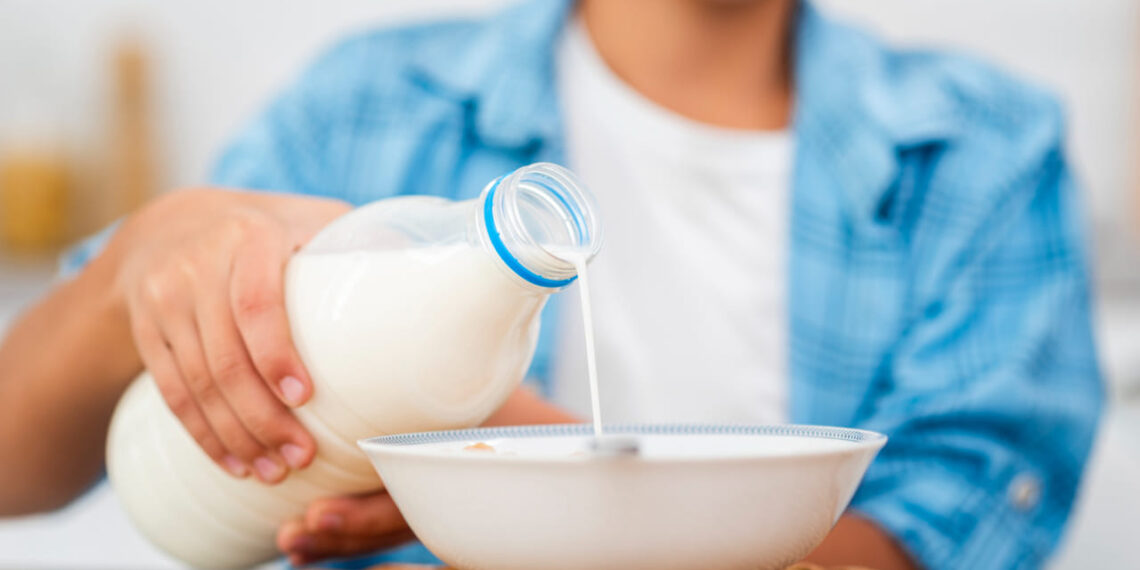 Leite de barata: o alimento que parece absurdo, mas pode salvar o mundo da fome