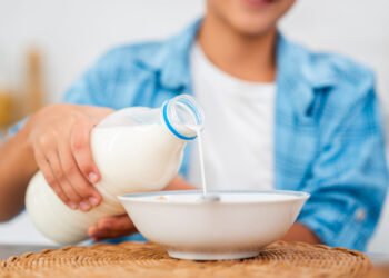 Leite de barata: o alimento que parece absurdo, mas pode salvar o mundo da fome