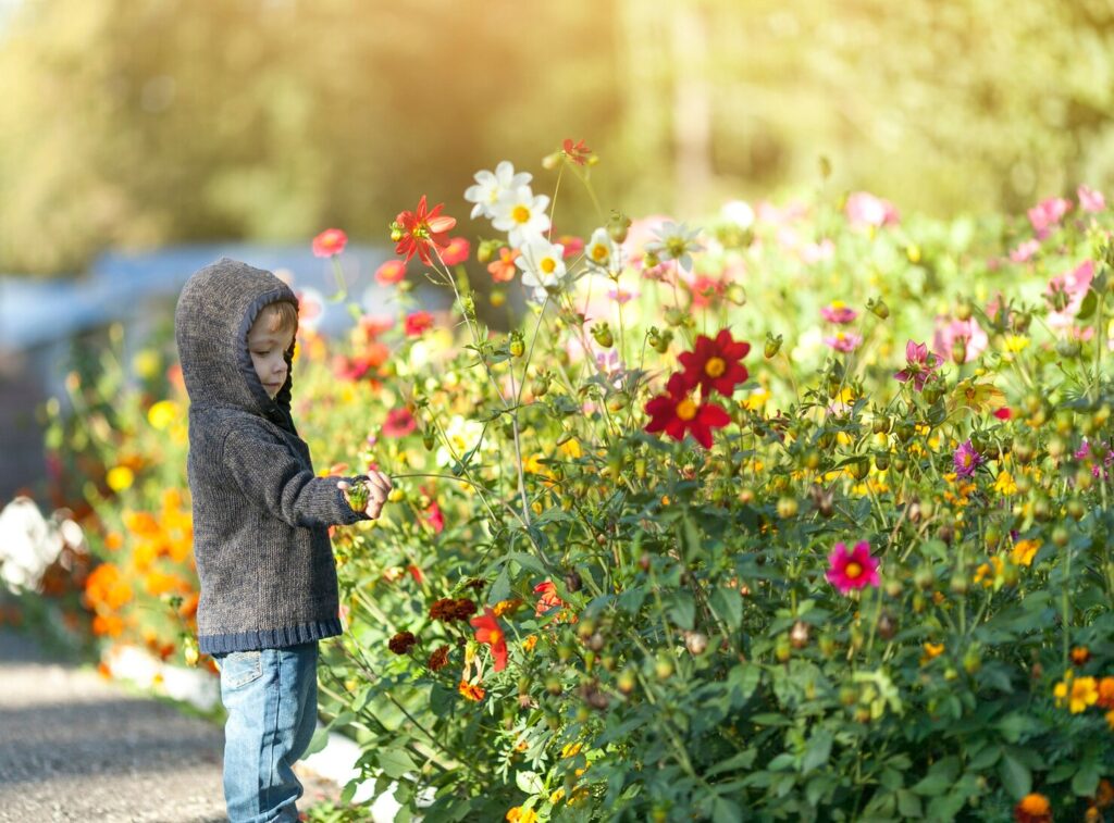 O que plantar na primavera? Guia completo com dicas para flores e hortaliças da estação