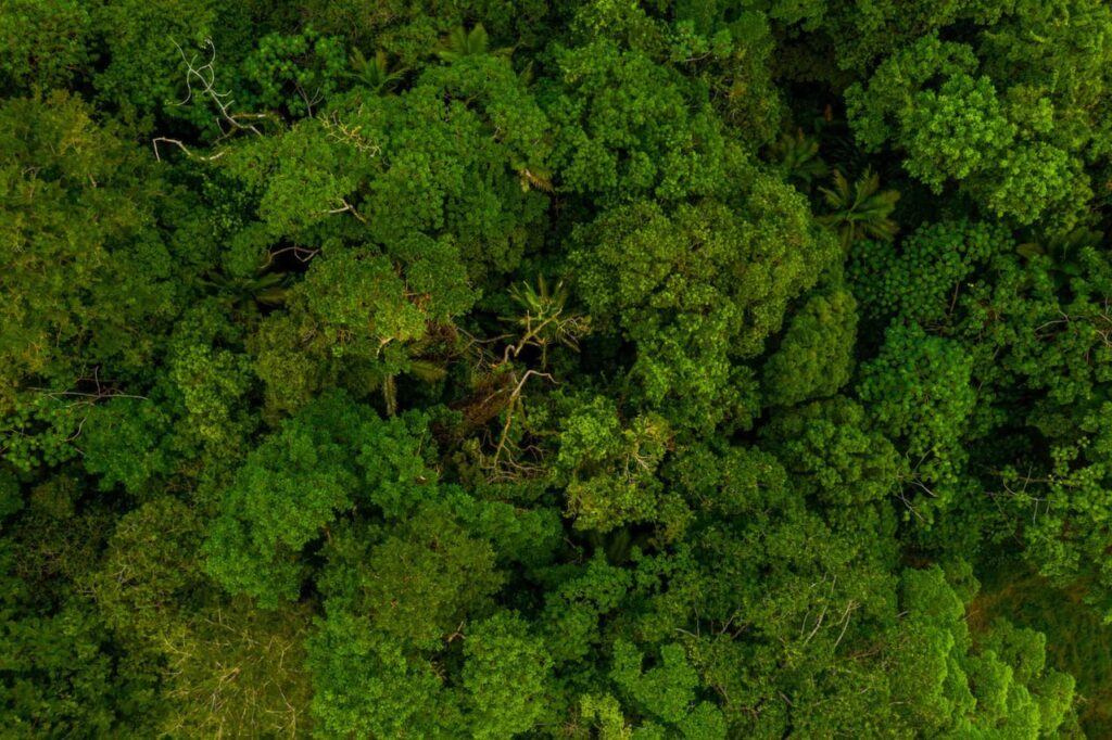 Brasil conquista protagonismo global em biodiversidade com atuação marcante do ICMBio