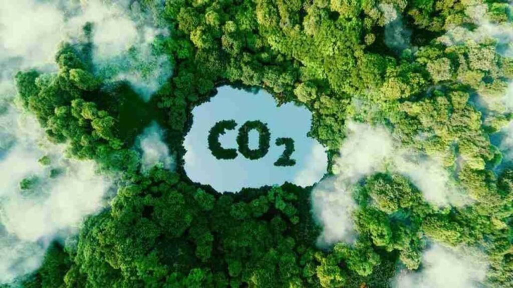 Agricultura familiar na Amazônia vira protagonista da economia de baixo carbono