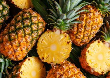 Novas cultivares de abacaxi da Embrapa resistem à fusariose e dobram a produtividade