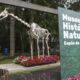 Museu transforma férias em aventura científica para crianças em Curitiba
