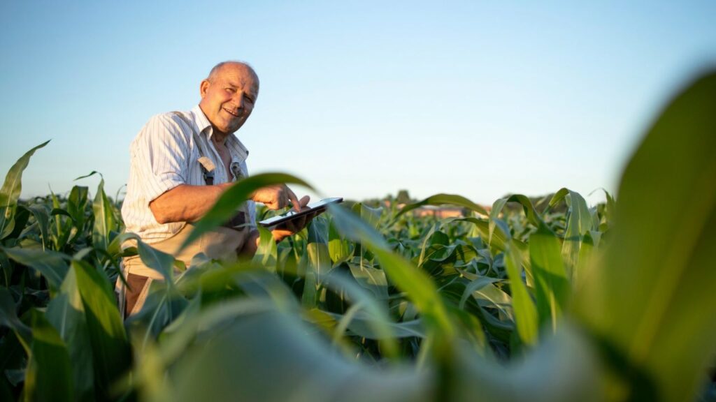 E-agro acelera expansão e mira crescimento de 30% no crédito rural em 2026