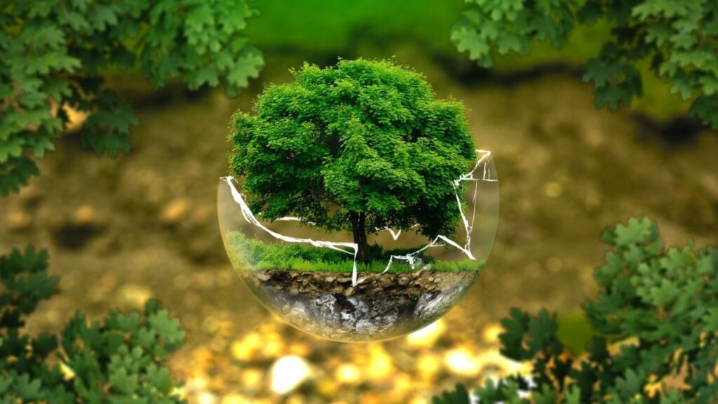 Engenharia Ambiental consolida protagonismo e amplia reconhecimento no Crea-SP