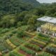 Germoplasma global: onde o futuro da comida do planeta está guardado