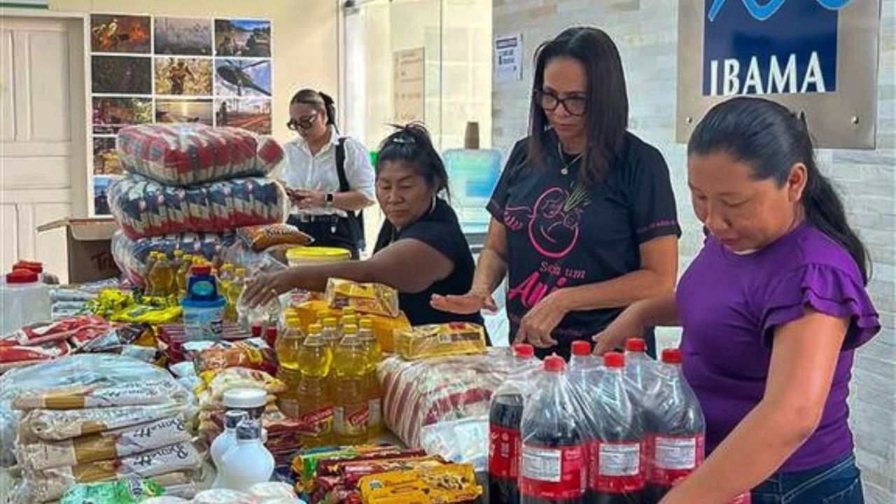 Foto: Divulgação/Ibama