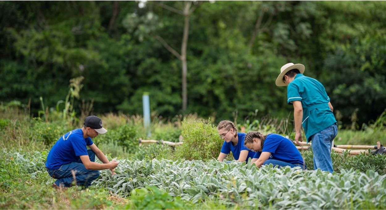 Foto: Lucas Fermin/SEED