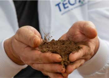O Paraná iniciou um projeto de agricultura regenerativa inédito no Brasil, que une biotecnologia ao manejo sustentável dos solos. Coordenado pelo Instituto de Tecnologia do Paraná (Tecpar), o Solo Vivo Paraná é o primeiro rastreamento microbiológico do solo realizado em escala estadual, que servirá como base para a construção de um Mapa Genético dos Solos Paranaenses.  O estudo é baseado na metagenômica, uma tecnologia avançada que analisa o DNA e a composição mineral e biológica do solo, para mapear a diversidade de microrganismos e nutrientes presentes em determinada área. A iniciativa representa um grande passo para o conhecimento da qualidade biológica do solo, contribuindo para a adoção de práticas agrícolas mais eficientes, sustentáveis e produtivas.  Para o diretor-presidente do Tecpar, Eduardo Marafon, ao estimular a inovação tecnológica no campo o Tecpar posiciona o Paraná como referência nacional em biotecnologia aplicada à agricultura sustentável. “Este projeto-piloto introduz uma ferramenta inédita para o Estado: a metagenômica aplicada à agricultura, integrando o Paraná à agenda global de bioeconomia e inovação verde”, disse Marafon.  “Por meio deste estudo, o agronegócio paranaense terá acesso a indicadores científicos capazes de transformar práticas agrícolas, com impactos diretos na cadeia agroindustrial, ampliando a produção de alimentos com sustentabilidade”, afirmou.  SAÚDE DO SOLO – Na prática, a análise de DNA metagenômico funciona como um "raio-X" da saúde do solo, identificando microrganismos benéficos ou patogênicos, ciclos de nutrientes e diversidade biológica. Ele sequencia o DNA de fungos, bactérias e vírus, identificando sua presença e de que forma estão agindo no solo.  Enquanto as análises laboratoriais tradicionais analisam os componentes químicos e os nutrientes do solo, na análise metagenômica o sequenciamento material genético é feito diretamente da amostra, focando nos microrganismos.  Segundo o gerente do Centro de Desenvolvimento Ambiental para Saúde do Tecpar, Marco Antonio Netzel, a implementação de protocolos de diagnóstico genético do solo possibilitará a identificação das condições biológicas que influenciam a produtividade agrícola.  “A aplicação pioneira da metagenômica agrícola no Estado, utilizando sequenciamento genético para mapear comunidades microbianas em larga escala, representa um marco metodológico”, afirma. “Isso ampliará a capacidade local de análise e gestão do solo com base em evidências científicas, transferindo conhecimento técnico para instituições públicas. Os dados gerados poderão orientar estratégias de manejo, além de subsidiar políticas públicas e estratégias de mitigação climática”.  INOVAÇÃO – O projeto, desenvolvido em parceria com a empresa Go Genetic, prevê a coleta e extração de amostras de solo em regiões agrícolas do Paraná, que serão processadas em laboratório, por meio da extração de DNA e sequenciamento genético de nova geração (NGS). Em seguida, o material passará pela análise bioinformática – técnica que utiliza conceitos da computação, biologia e estatística para interpretar grandes volumes de informações biológicas, transformando dados brutos em conhecimento.  Ao todo, serão 8.400 pontos amostrados, resultando em aproximadamente 700 análises metagenômicas completas com dados genéticos e indicadores de saúde do solo.  As informações geradas serão analisadas e interpretadas em conjunto com as equipes técnicas do Instituto de Desenvolvimento Rural do Paraná (IDR-PR) e da Agência de Defesa Agropecuária do Paraná (Adapar), e embasarão uma publicação técnica que servirá como referência para o futuro desenvolvimento do Mapa Genético dos Solos do Estado.  Além de identificar áreas com necessidade de correção, permitindo o uso mais eficiente do solo, a recuperação de solos degradados e a otimização no uso de fertilizantes, o mapa ajudará na formulação de políticas públicas voltadas à saúde do solo e na elaboração de estratégias de controle e prevenção de doenças do solo, com recomendações técnicas sobre diferentes culturas.  BENEFICIADOS – Os principais beneficiados serão os pequenos e médios produtores paranaenses – que hoje representam 84% das propriedades rurais do estado. Eles poderão aumentar a produtividade com base em evidências técnicas, ampliando sua competitividade e autonomia.  Cerca de 100 agricultores familiares e cooperativas de 13 municípios farão parte do projeto-piloto. As cidades selecionadas são: Boa Ventura de São Roque, Carambeí, Castro, Curitiba, Guarapuava, Irati, Palmeira, Piraí do Sul, Pitanga, Ponta Grossa, Prudentópolis, São José dos Pinhais e Turvo.  O projeto foi estruturado para refletir a diversidade produtiva do estado. Ao longo da execução, serão avaliados diferentes contextos agrícolas e ambientais, como o cultivo da banana, no Litoral do Estado; dos citros − com atenção ao greening − no Norte do Paraná; da mandioca, no Norte e Noroeste; de áreas certificadas de café e goiaba; da sericicultura, no Norte Pioneiro; além de grandes culturas, como soja, milho, trigo, cevada e cana-de-açúcar. O estudo também vai analisar áreas com solos degradados, com foco em diagnóstico e regeneração.  SAÚDE ÚNICA – Em 2025, o Tecpar aprovou diversos projetos alinhados aos três pilares do conceito de Saúde Única: saúde humana, saúde animal e saúde ambiental. Entre eles está o projeto piloto Solo Vivo, Paraná Forte – Mapa Genético dos Solos Paranaenses, que tem investimento de R$ 2 milhões, com recursos do Fundo Paraná, dotação de fomento científico gerida pela Secretaria da Ciência, Tecnologia e Ensino Superior (Seti).