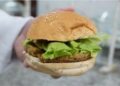 Embrapa e quebradeiras de coco transformam descarte do babaçu em hambúrguer vegano sem glúten e sem lactose