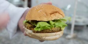 Embrapa e quebradeiras de coco transformam descarte do babaçu em hambúrguer vegano sem glúten e sem lactose