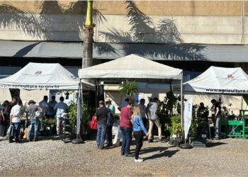Estande da CATI na 31ª Hortitec promoverá atendimento gratuito a horticultores
