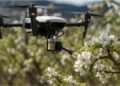 Quando não há mais abelhas, o drone poliniza. Mas será que isso resolve alguma coisa?