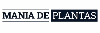 Mania de Plantas