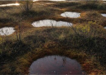 A terra que leva mil anos para se formar guarda o segredo que o clima do futuro vai precisar