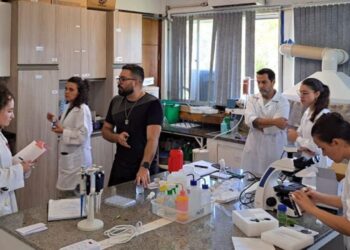 Se a natureza ao redor de uma cidade está doente, a população também está: dentro do laboratório que prova essa conexão